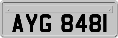 AYG8481