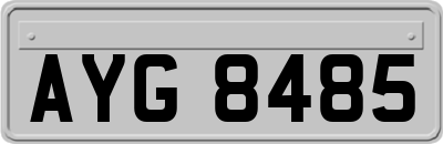AYG8485