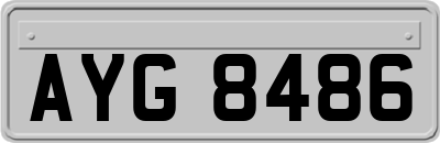 AYG8486