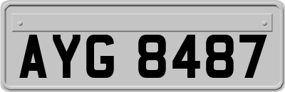 AYG8487