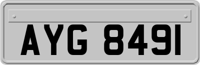 AYG8491