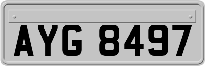 AYG8497