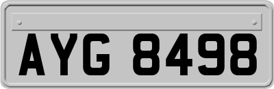 AYG8498