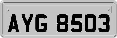 AYG8503