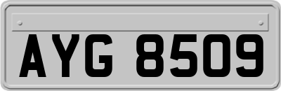 AYG8509