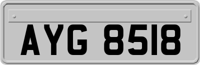 AYG8518