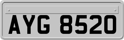 AYG8520