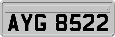 AYG8522