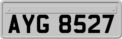 AYG8527