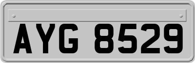 AYG8529