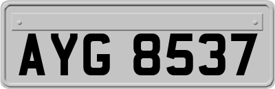 AYG8537