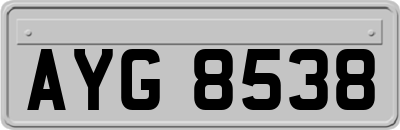 AYG8538