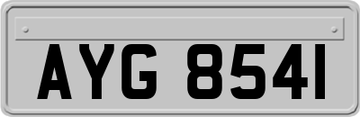 AYG8541