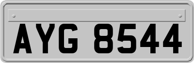 AYG8544