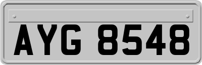 AYG8548