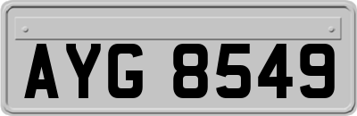 AYG8549