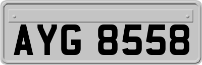 AYG8558
