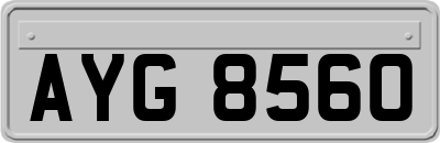 AYG8560