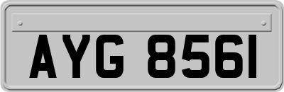 AYG8561