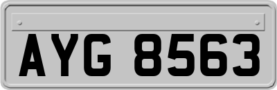 AYG8563