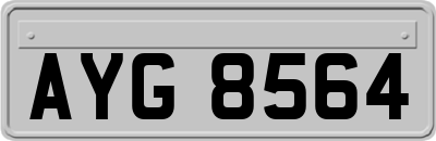 AYG8564