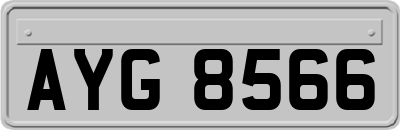 AYG8566