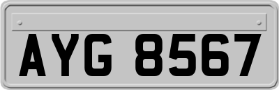 AYG8567