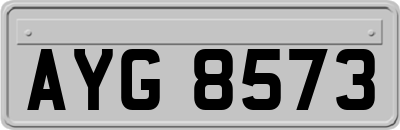 AYG8573