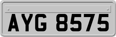 AYG8575