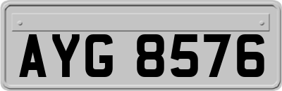 AYG8576