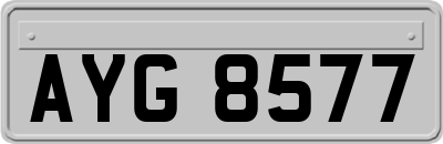 AYG8577
