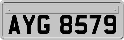 AYG8579