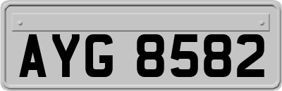 AYG8582