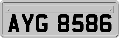 AYG8586