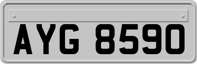 AYG8590