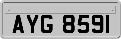 AYG8591