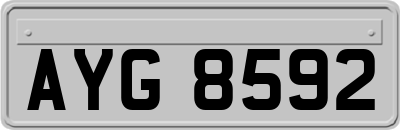 AYG8592