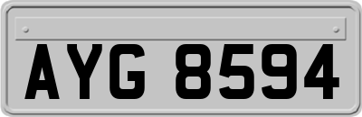 AYG8594