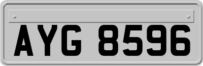 AYG8596