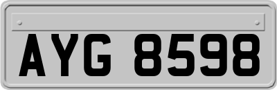 AYG8598
