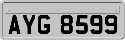 AYG8599