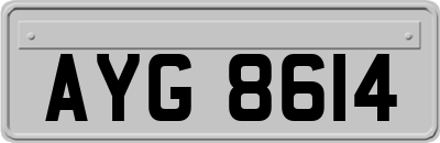 AYG8614