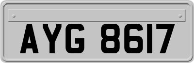 AYG8617