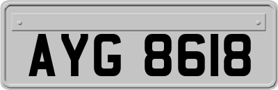 AYG8618