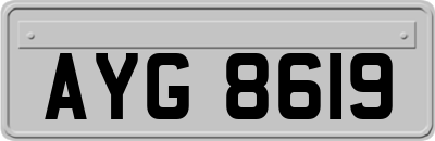 AYG8619