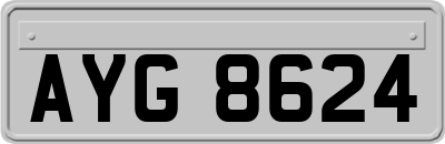 AYG8624