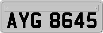 AYG8645