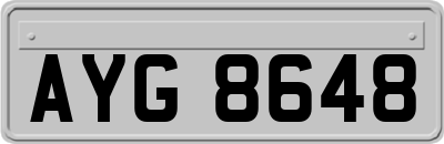 AYG8648