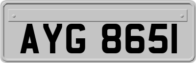AYG8651