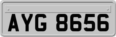 AYG8656